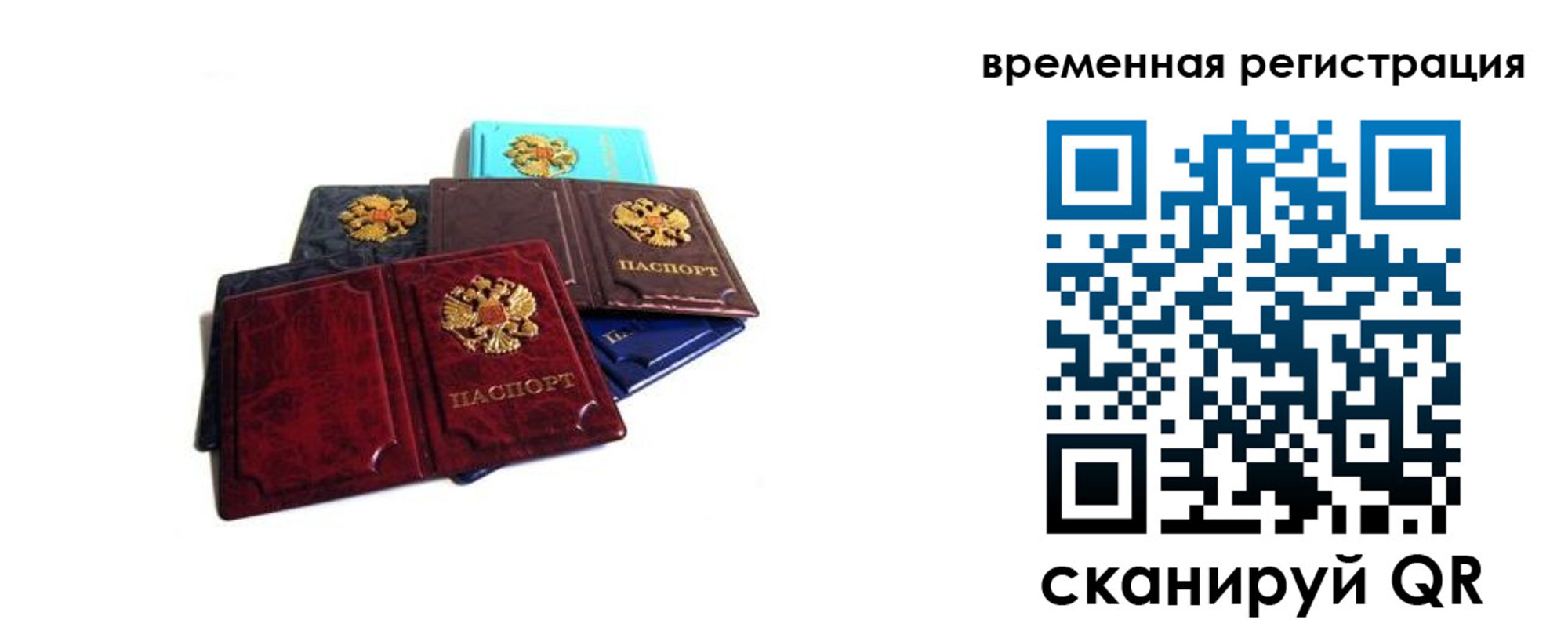 прописка гарантия в Озёрске